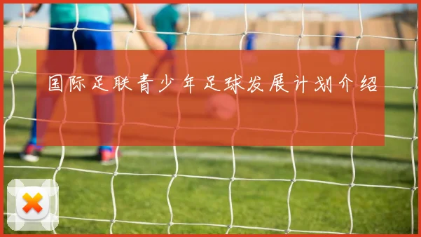 国际足联青少年足球发展计划介绍